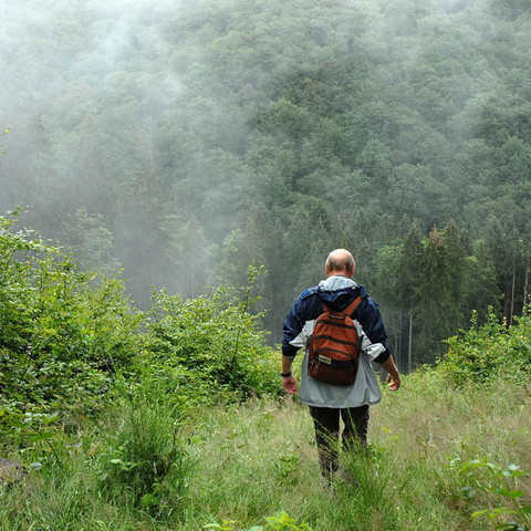 Försterweg Wandern