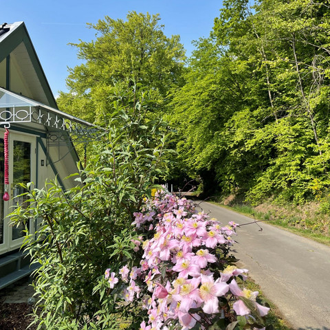 Aussenaufnahme Ferienhaus Michel Aussenaufnahme Ferienhaus Michel