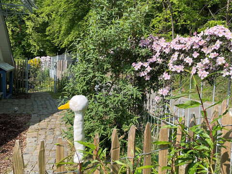 Ferienhaus Michel, Vorgarten Ferienhaus Michel, Vorgarten