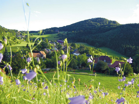 Bergweg 5