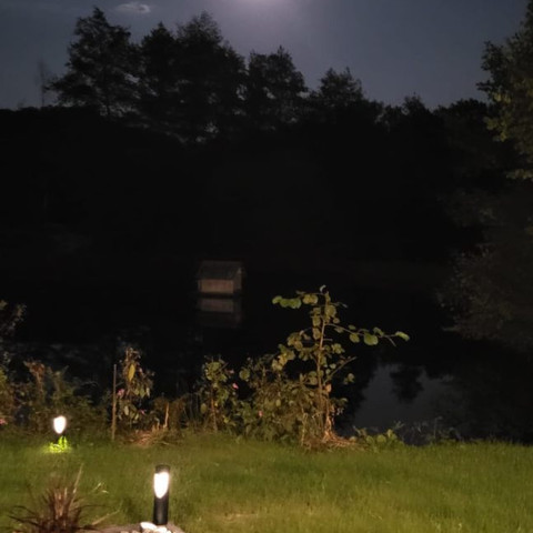 Ferienhaus am Mühlenteich, Garten am Abend Ferienhaus am Mühlenteich, Garten am Abend