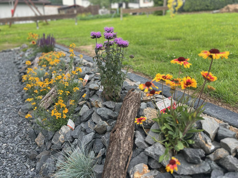Ferienhaus Auszeit Windeck: Garten Ferienhaus Auszeit Windeck: Garten