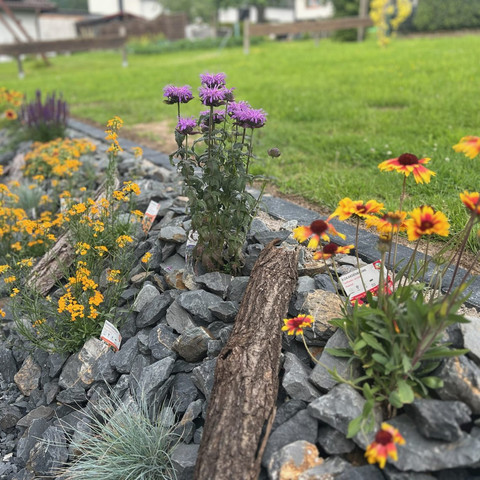 Ferienhaus Auszeit Windeck: Garten Ferienhaus Auszeit Windeck: Garten