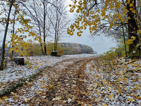 Jahresz Herbst
