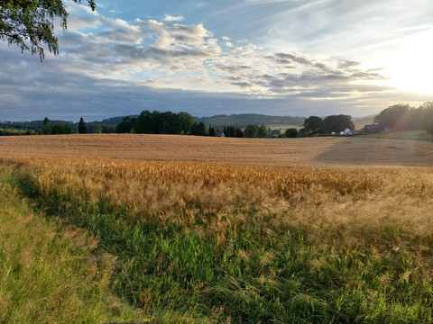 Jahresz Sommer 20240705_203134