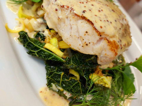 Welsfilet in Senfsauce