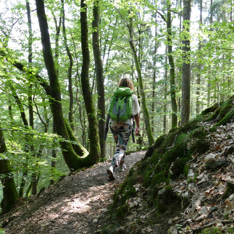 Unterwegs auf dem Künstlerweg