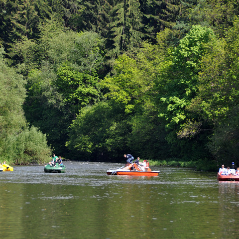 Bootfahren auf der Sieg