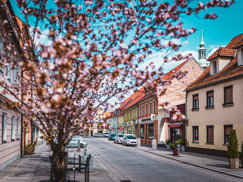 Frühling auf dem Neumarkt in Großenhain