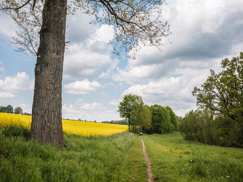 Unterwegs auf naturbelassenen Wegen - hier bei Mauna