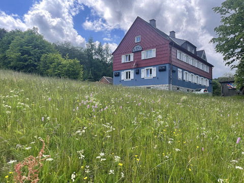 umgebung-sommer-ferienhaus-bergwiese-1600w