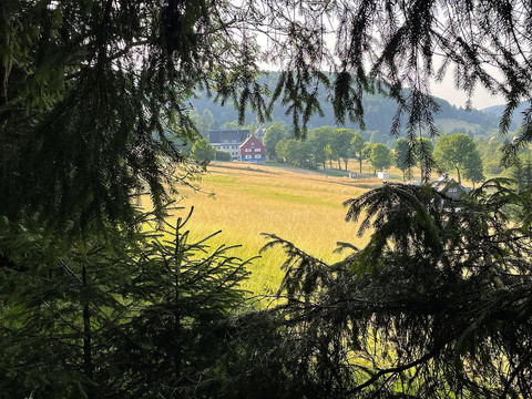 umgebung-sommer-blick-rehefeld-tal-1600w