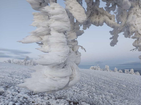 Winter im Erzbebirge