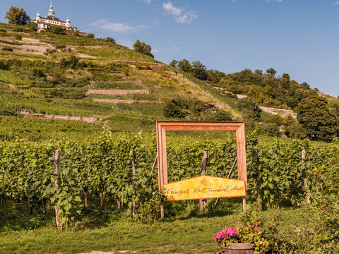 Weingut Karl Friedrich Aust mit Blick zum Spitzhaus