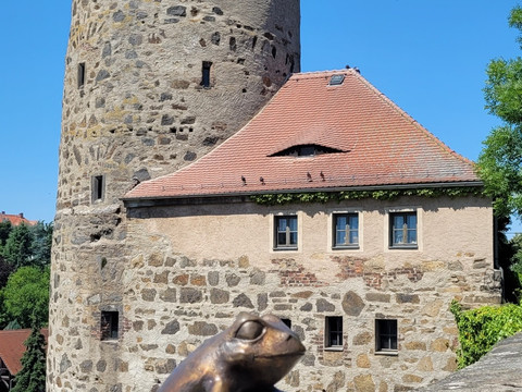 Der Frosch im Rohr der Wasserkunst - Station 9 - Wendischer Kirchhof