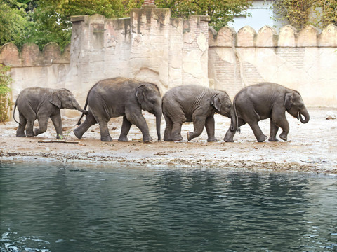 Tierisches Leipzig 2