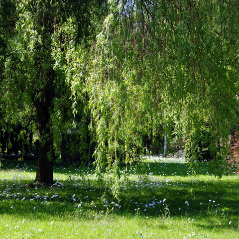 Parkanlage Alter Friedhof