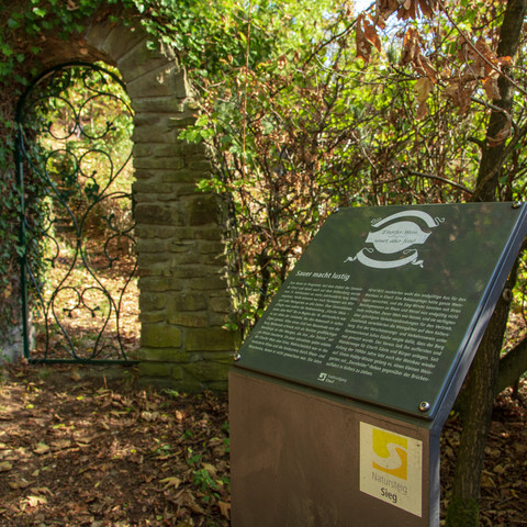 Pfad Keltersberg mit Info zum Weinbau