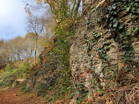 Keltersberg Herbst