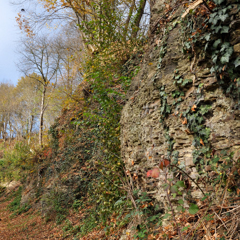 Keltersberg Herbst