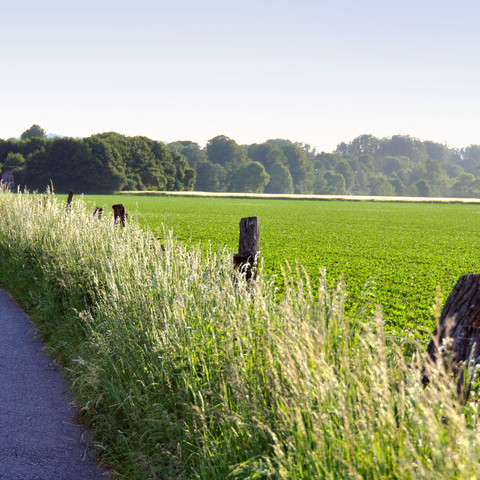 Radweg Sieg Rundweg entlang von Feldern