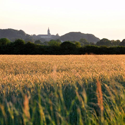 Mit Blick auf Siegburg