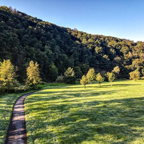 Landschaft an der Sieg