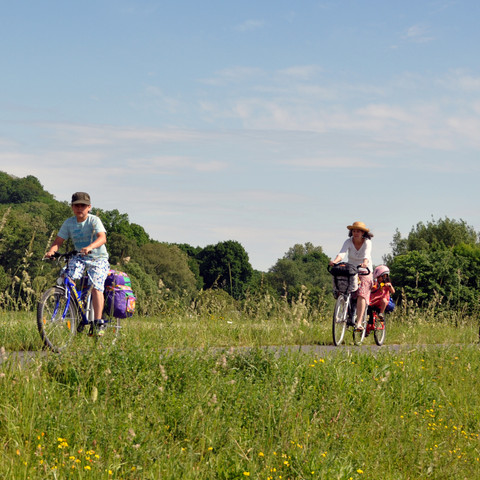 Fahrradfahren durch Wiesenlandschaften