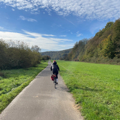 Radweg durch die Natur