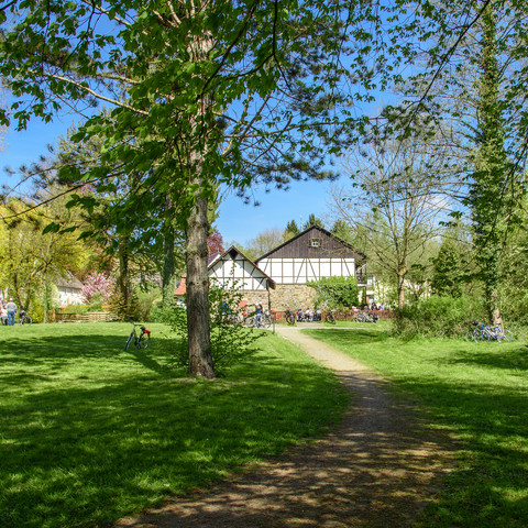 Kurpark Herchen