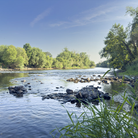 Siegaue