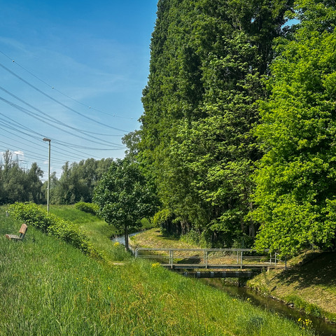 Radweg Sieg Siegdamm