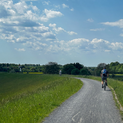 Radweg Sieg Siegdamm