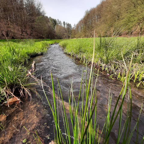 Rosbachtal