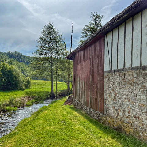 Seifermühle in Forst