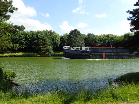 Frachtschiff passiert Flusslandschaft mit üppigem Baumbestand unter blauem Himmel.