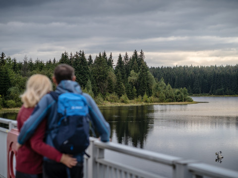 Blick über die Talsperre Carlsfeld