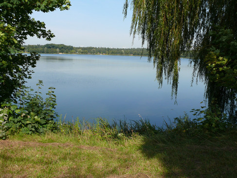 Ruhiger See mit grünen Bäumen am Ufer, heller Himmel, friedvolle Naturumgebung.Calm lake with green trees on the shore, bright sky, peaceful natural surroundings.Rolig sø med grønne træer på bredden, lys himmel, fredelige naturomgivelser.Rustig meer met groene bomen aan de oever, heldere hemel, vredige natuurlijke omgeving.