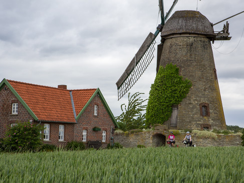 Historische windmolen met rood bakstenen huis, omringd door groene velden op de voorgrond.