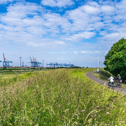 Weser-Radweg nahe Bremerhaven