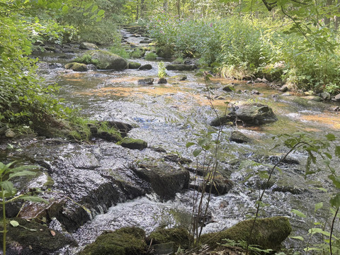Pöhlbach