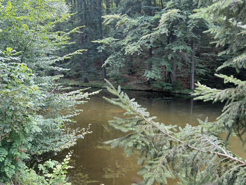 Klötzerschwemme