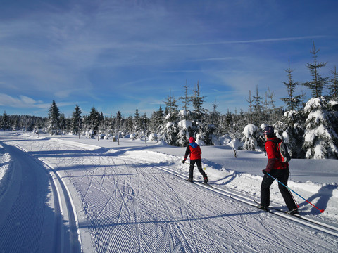 auf der kammloipe 1