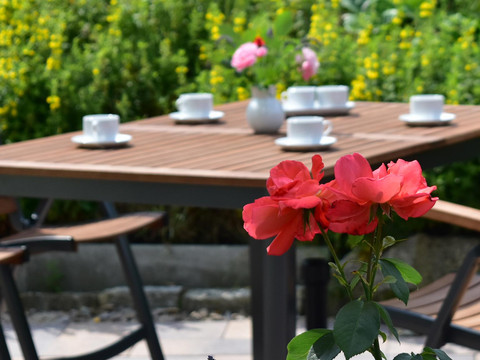 Garten