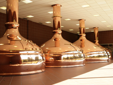 Brauereiführung Sudkessel Kupferne Sudkessel in der Erzquell Brauerei während einer Brauereiführung