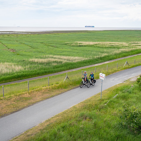 Weser-Radweg Cuxland
