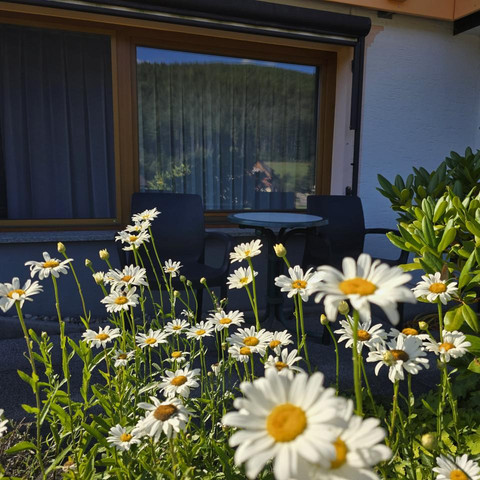 Wohnung in Obertal mit Wintergarten, Gartenansicht