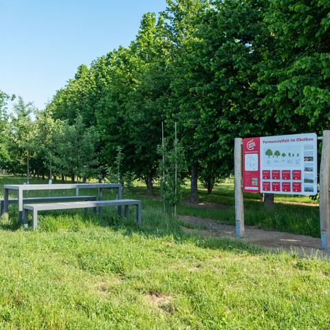 Erlebnisstation Bauformen