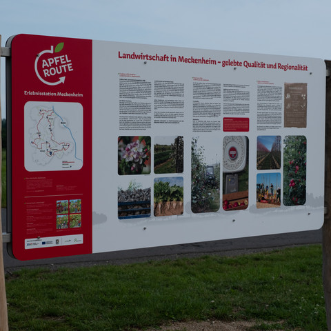 Erlebnisstation Obst in Meckenheim