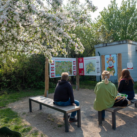 Erlebnisstation_Obstblütenlandschaft